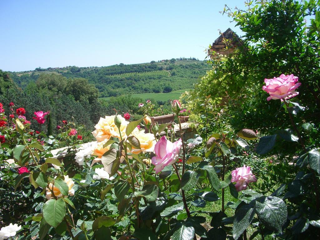 Torraccia Di Chiusi Agriturismo Relais San Gimignano Exterior photo